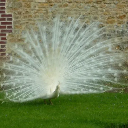 Prázdninový dům La Chaumiere *