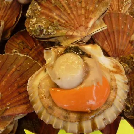 Prázdninový dům La Chaumiere *